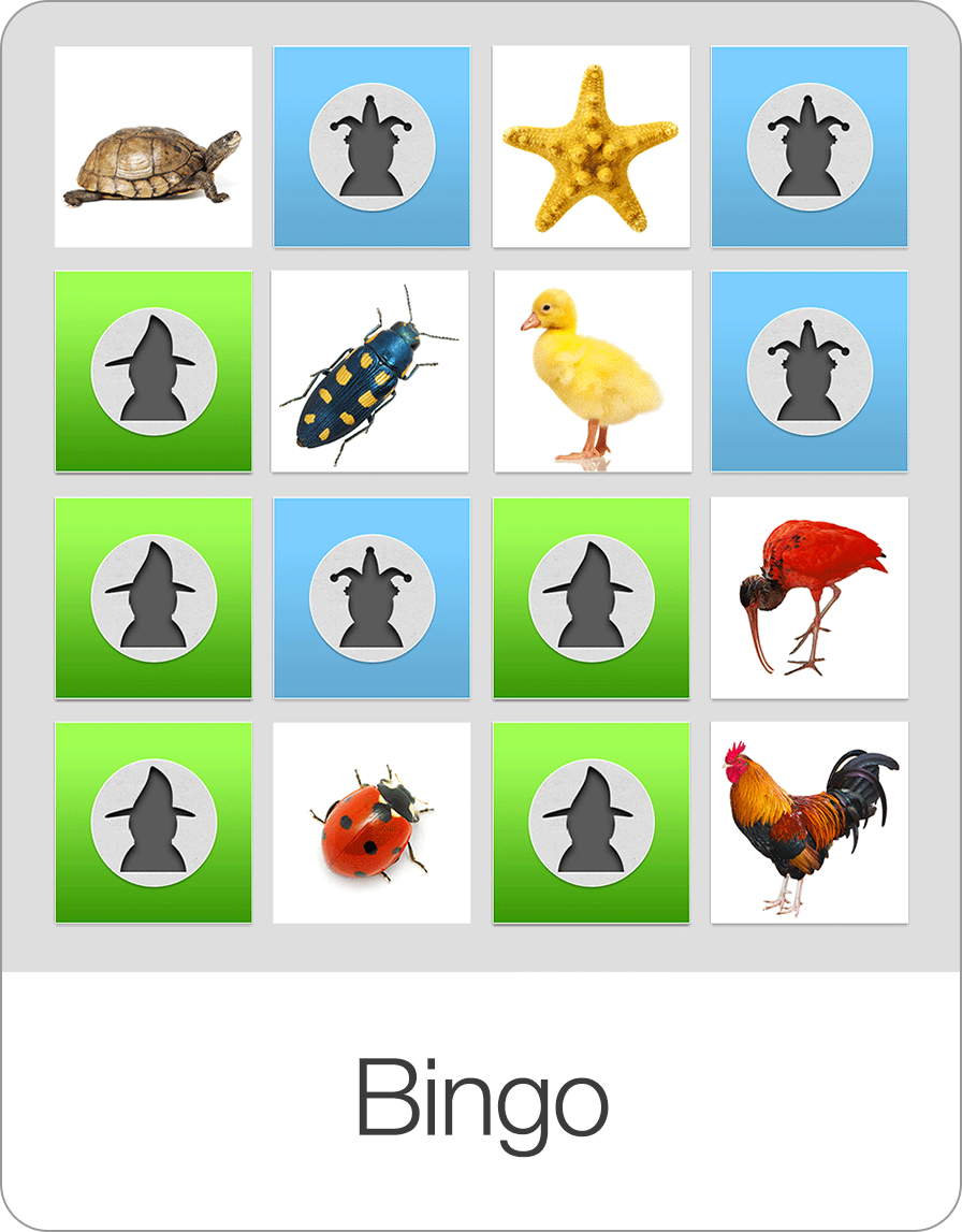 Bingo