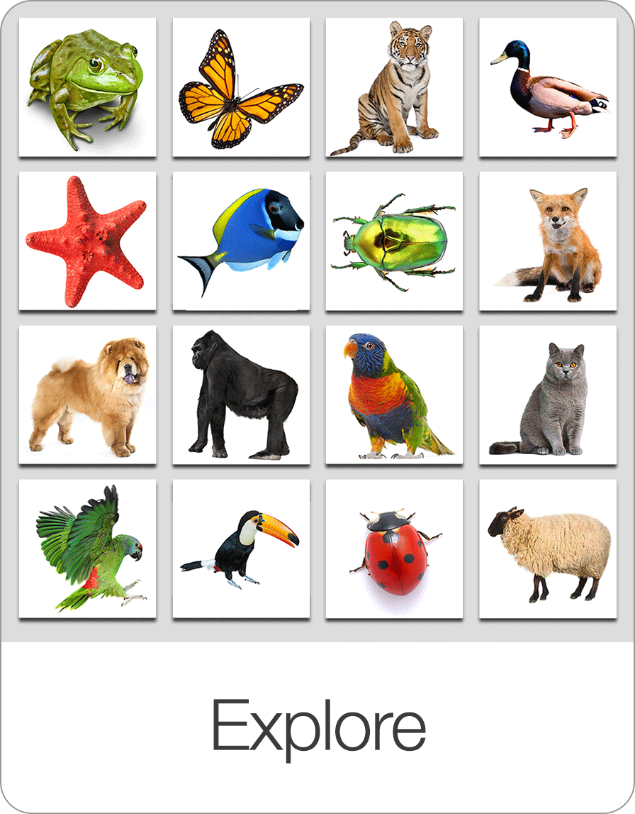 Explore