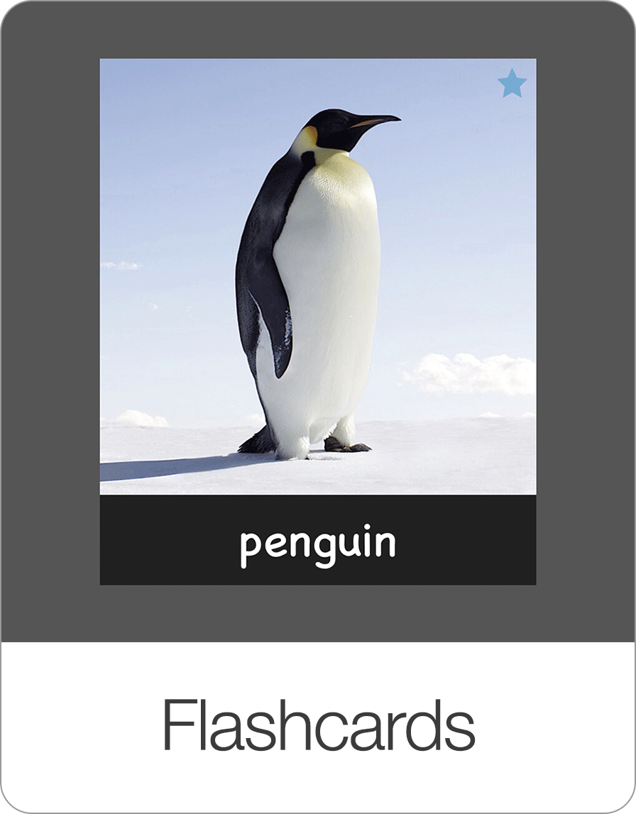 Flashcards