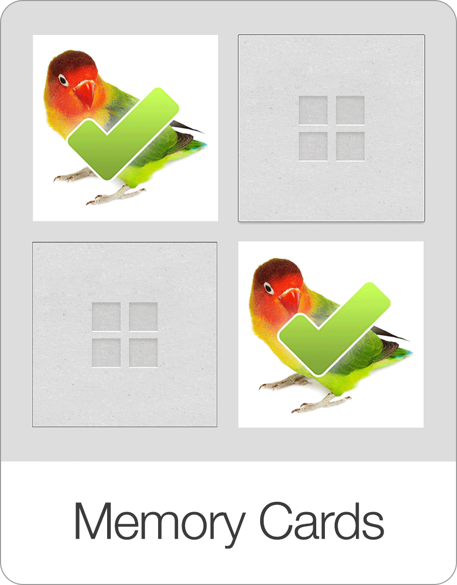Memory Cards