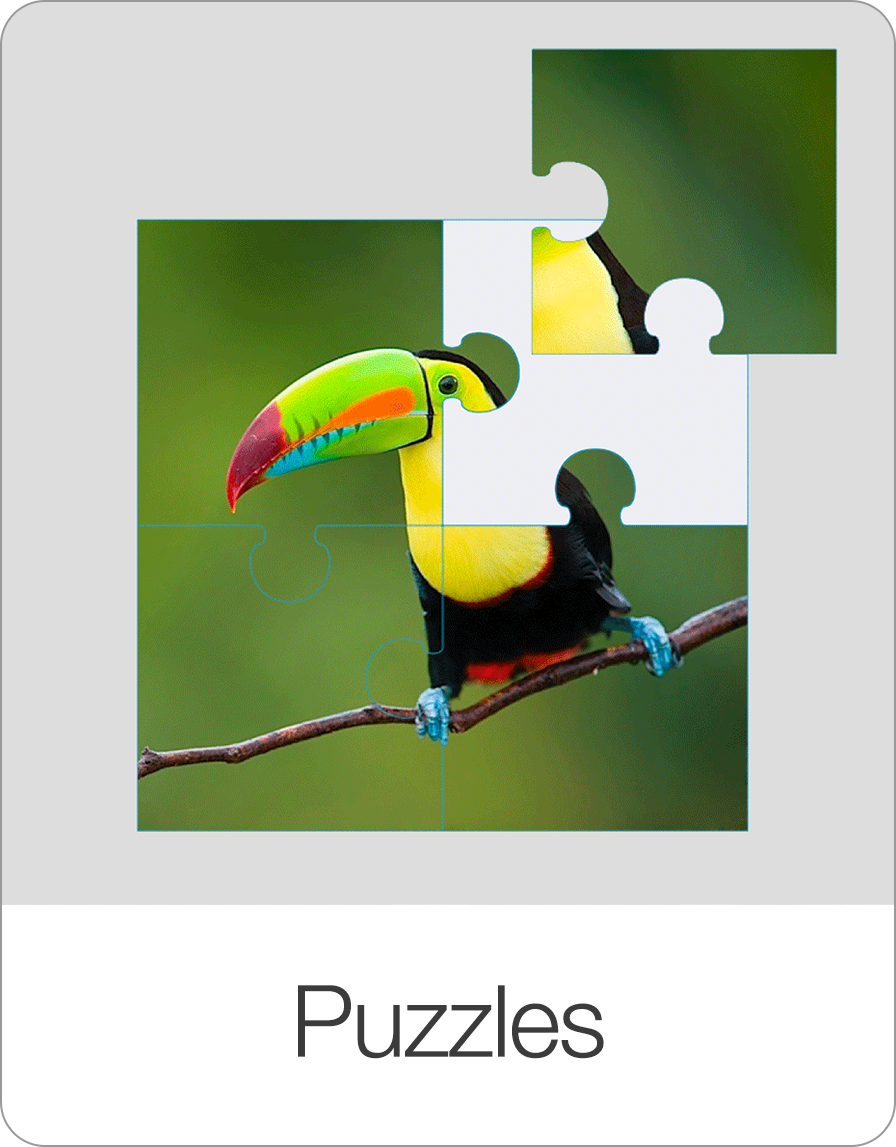 Puzzles: Bilder zusammensetzen und Begriffe festigen