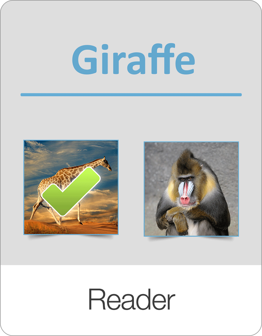 Reader: Wörter, Sätze und Texte lesen üben