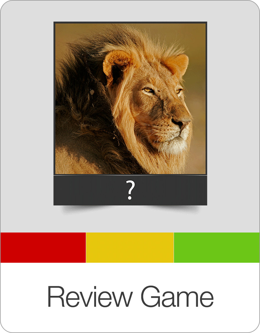 Review Game: Lerninhalte gezielt wiederholen