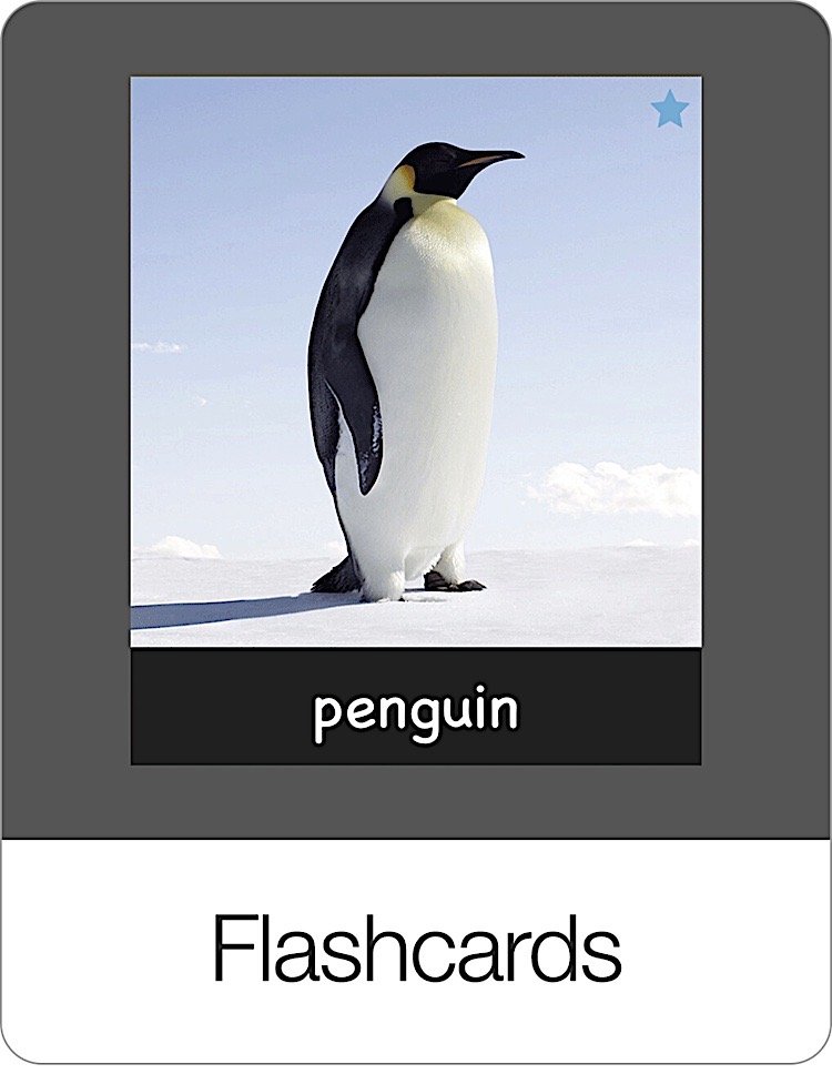 Genius — Bitsboard | Flashcards & Mini-Games for Personalized Learning Screenshot