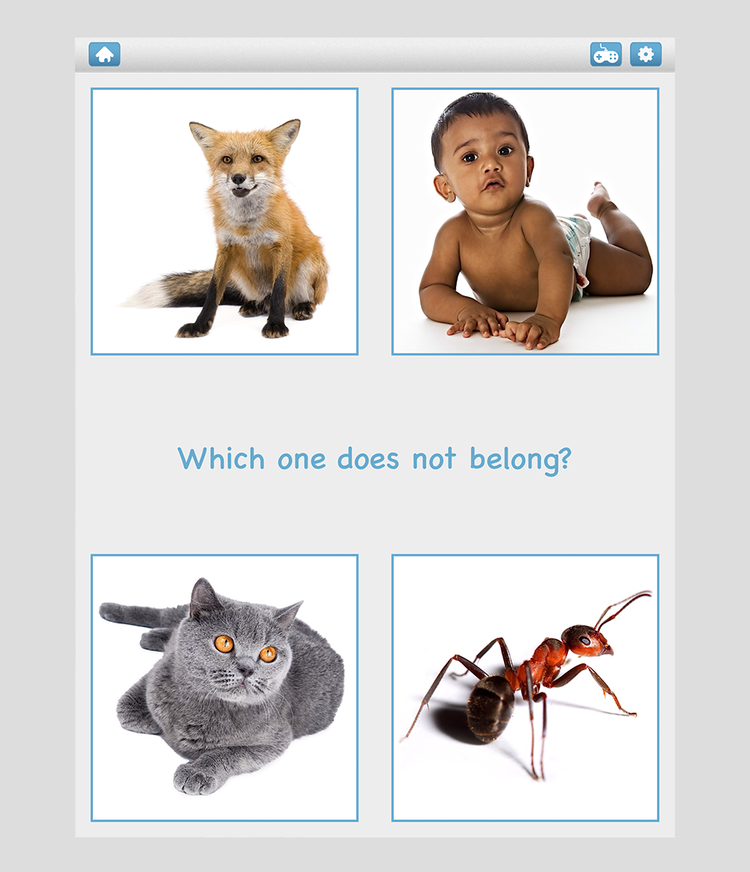 Odd One Out: Das unpassende Element finden in Bitsboard