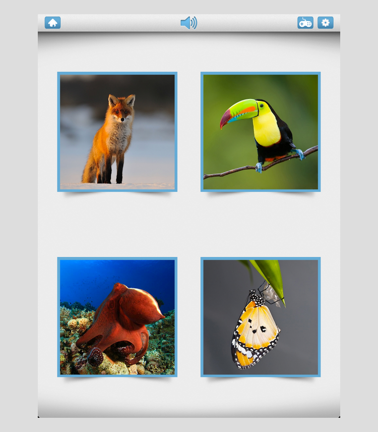 Photo Touch: Bilder erkennen und antippen in Bitsboard