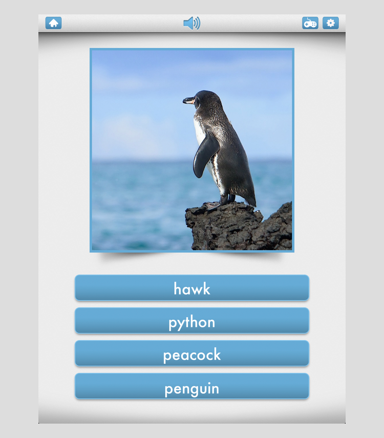 Pop Quiz: Wissen spielerisch abfragen in Bitsboard