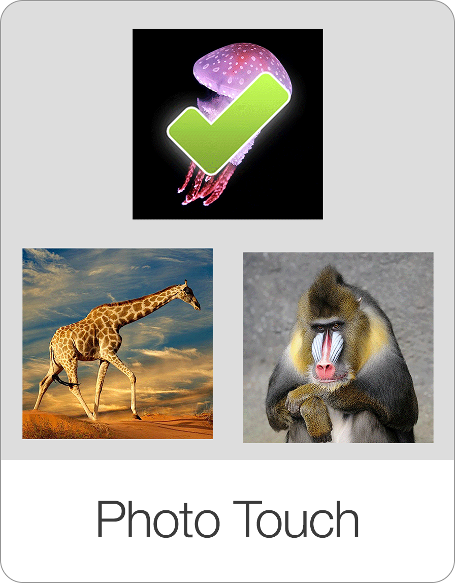 Sequences — Bitsboard | Flashcards & Mini-Games for Personalized Learning Screenshot