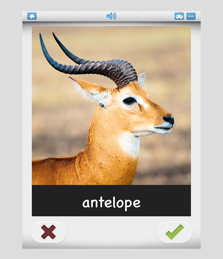 True or False — Bitsboard | Flashcards & Mini-Games for Personalized Learning Hero Image