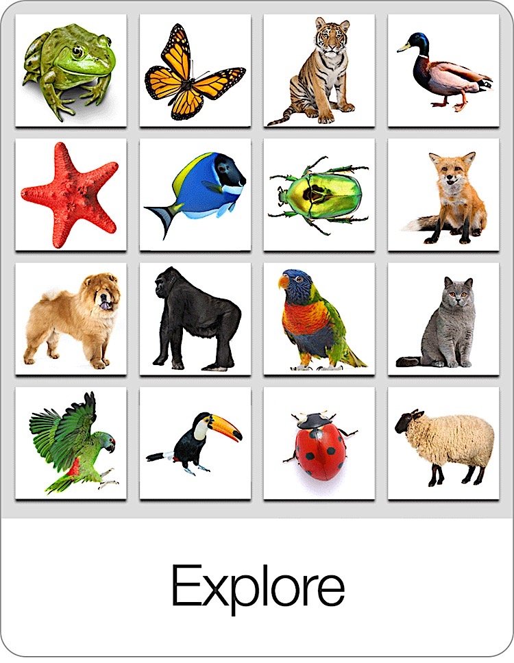 Explore