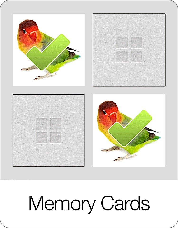 Memory Cards