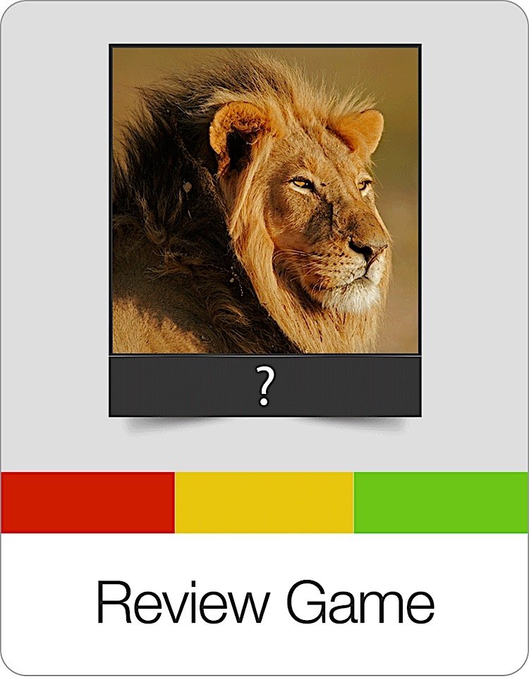 Review Game