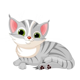 cat picture for short a CVC word families practice