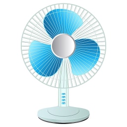 Fan picture for -an word family practice