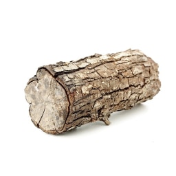log