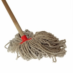 mop picture for short o CVC word families practice