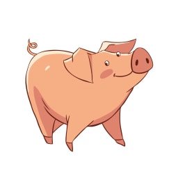 pig picture for short i CVC word families practice