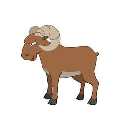 ram